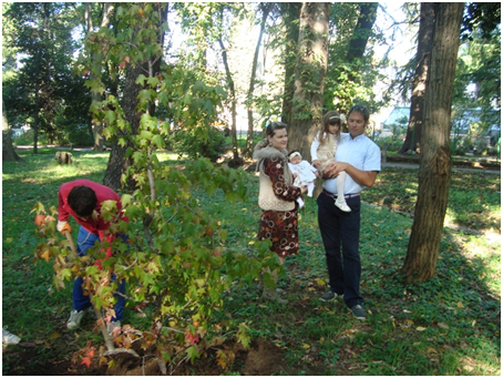 Sadnja u Velikom gradskom parku
